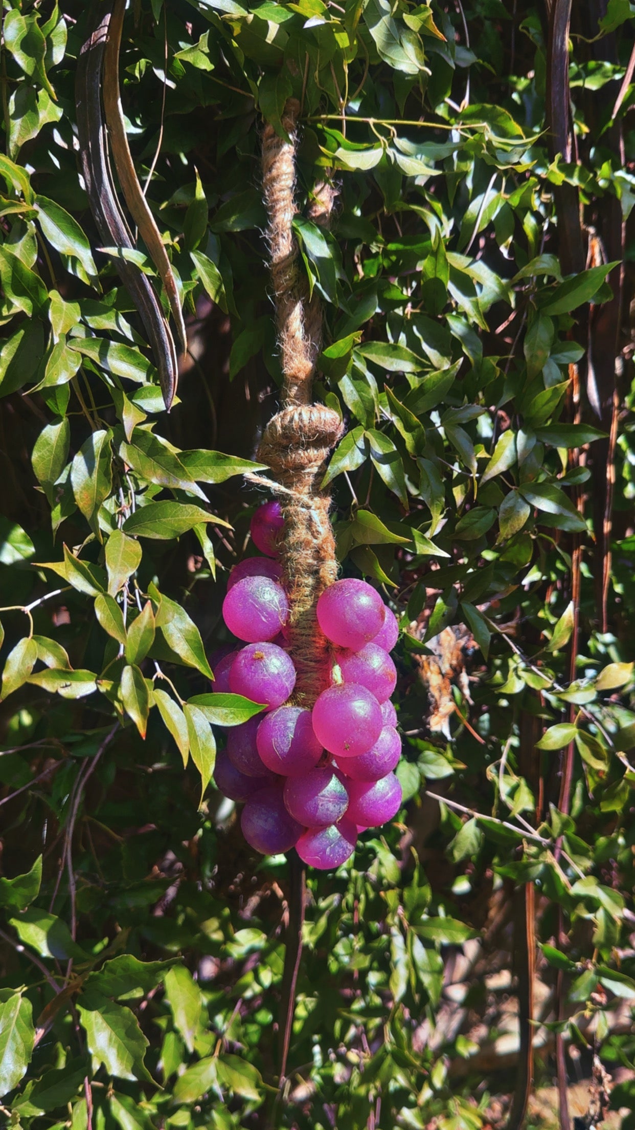 Custom Soap Cluster Collection Decorative & Functional Art